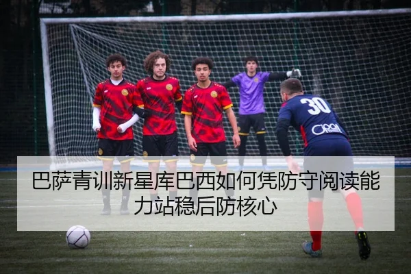 ba-sa-qing-xun-xin-xing-ku-ba-xi-ru-he-ping-fang-shou-yue-du-neng-li-zhan-wen-hou-fang-he-xin-3-278.jpg