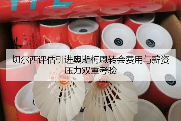 切尔西评估引进奥斯梅恩转会费用与薪资压力双重考验 - kaiyun